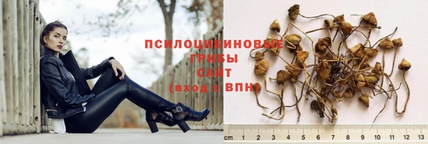 прущая мука Михайлов