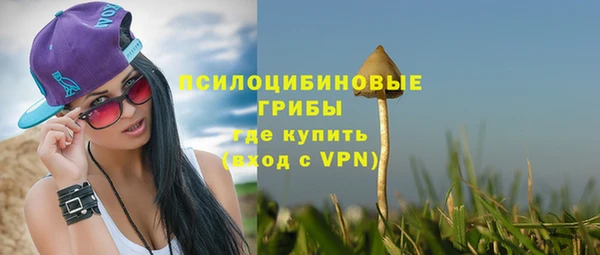 ПСИЛОЦИБИНОВЫЕ ГРИБЫ Медногорск