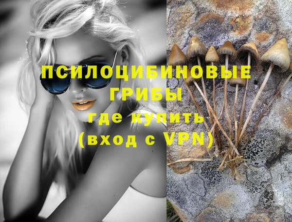 бутират Анжеро-Судженск