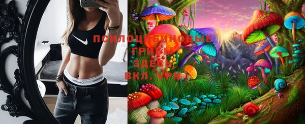 молекула духа Михайловск