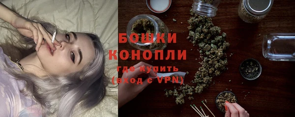 молекула духа Михайловск
