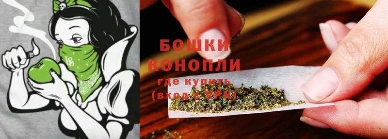 omg онион  это как зайти  Канабис OG Kush  купить   Дмитровск 